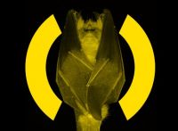 Adam Beyer and Ida Engberg to play all night long at Ministry of Sound 