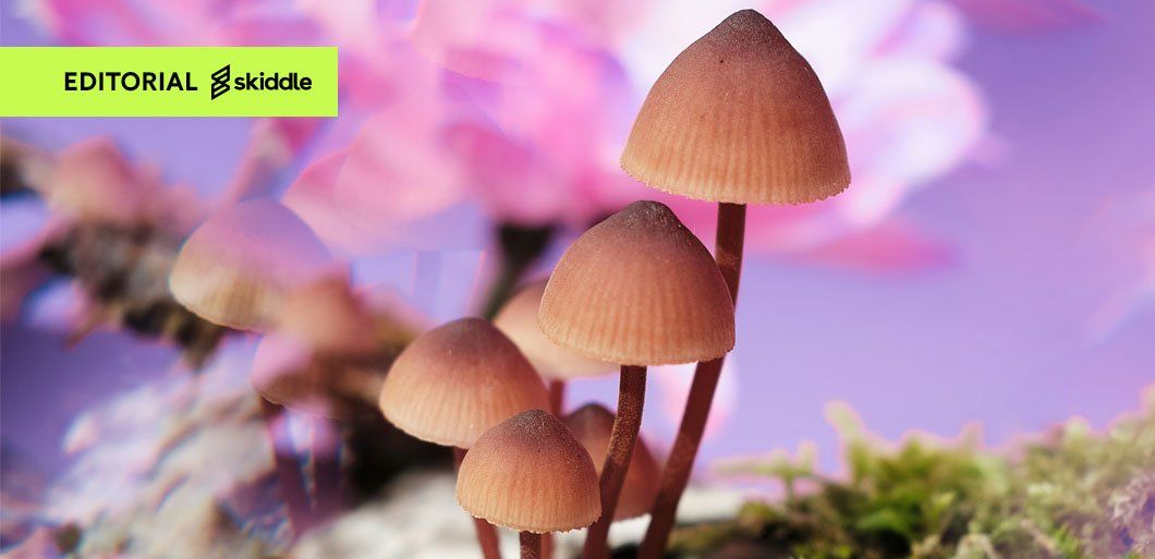 What the f*ck is goblincore?: Folklore, dungeon synth & fungi fashion