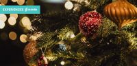 Freight Island brings festive family fun with The Magic of Christmas